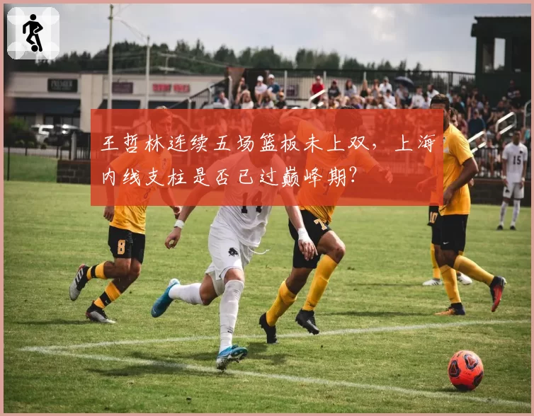 王哲林连续五场篮板未上双，上海内线支柱是否已过巅峰期？